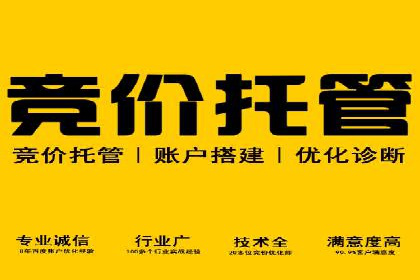 某某sem广告公司成功案例：如何通过SEM优化提高电商销售额